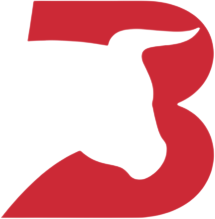 Black Bull Media
